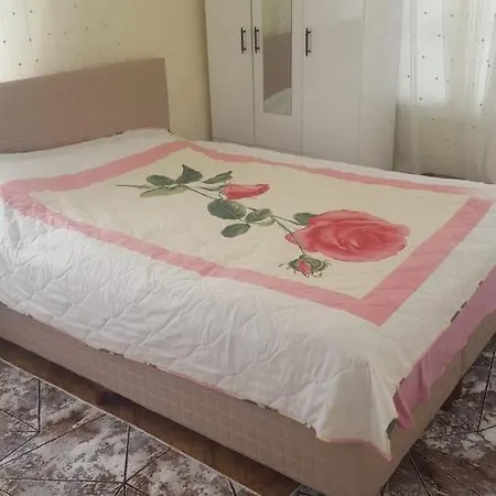 Apartment Merkez Erciyes Daire